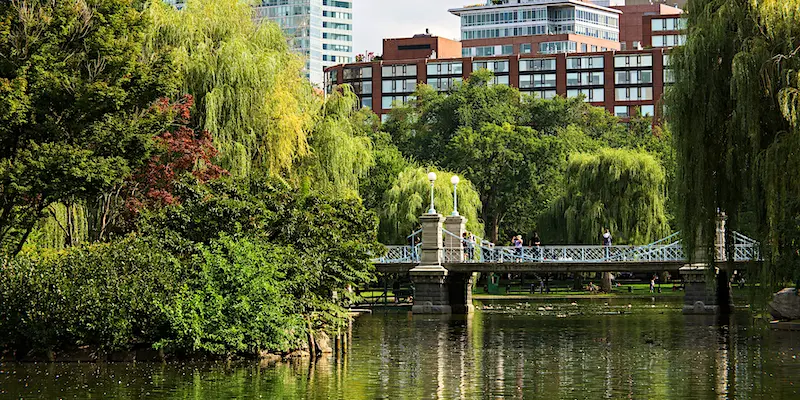 Swan Boat Pond Bridge Scenes from Boston Common